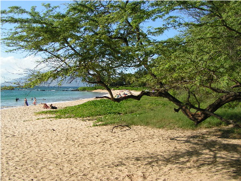 Beautiful Palauea Beach