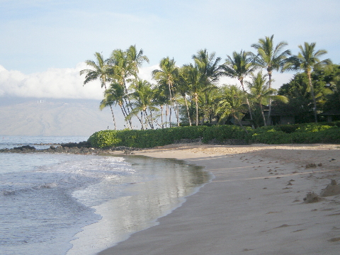 Palauea Beach