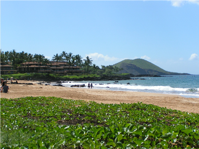 Looking south toward Pu'u Olai