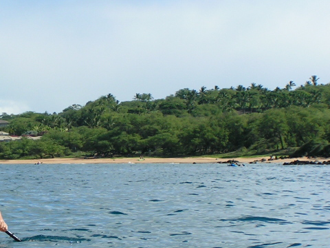 South Maui's Po'olenalena Beach - Wow!