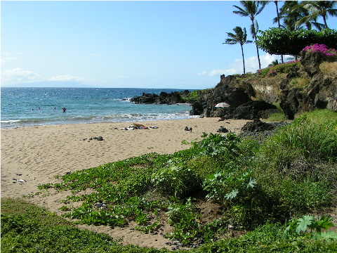 South Maui's Chang's Beach - Wow!