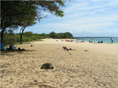 Big Beach - Wow!