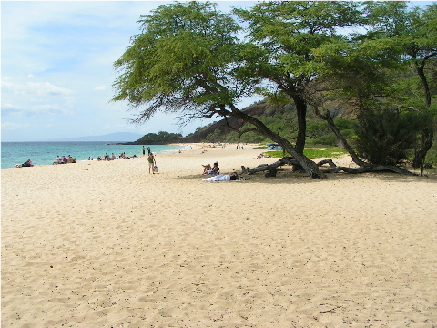 Big Beach - Wow!