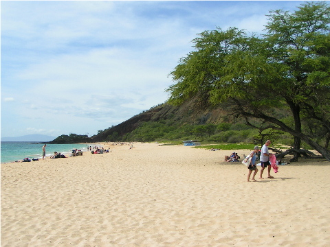 Big Beach - Wow!