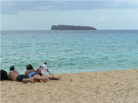 Big Beach - Wow!