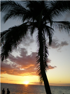 Maui Sunset